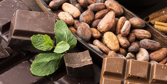 Chocolate Vegano: Uma Opção Saborosa para Pessoas com Restrições Alimentares